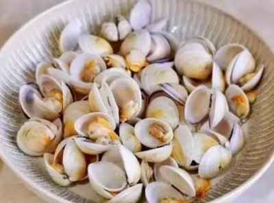  蛤蜊怎么炒（炒蛤蜊的做法大全竅門）